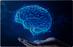AI & Data solutions