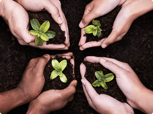 A Tree for Every Voice