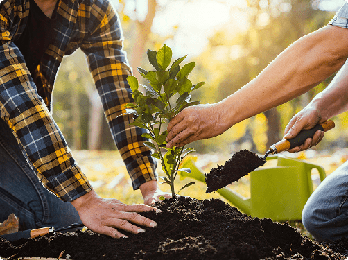 A Tree for Every Voice